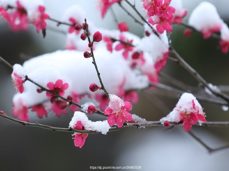 1760408499192074960.jpg 图三.jpg