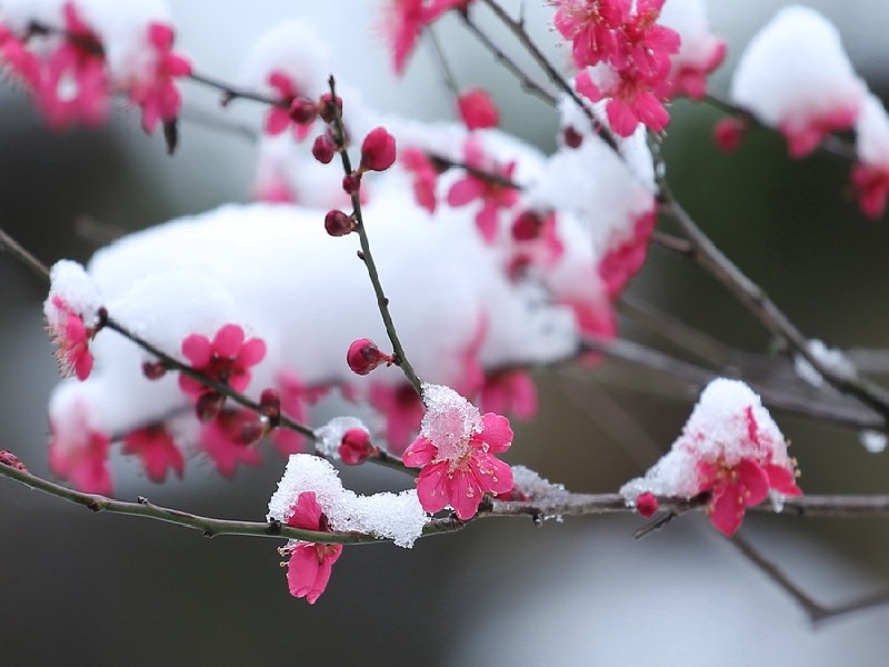 1760409757780058983.jpg 图三.jpg